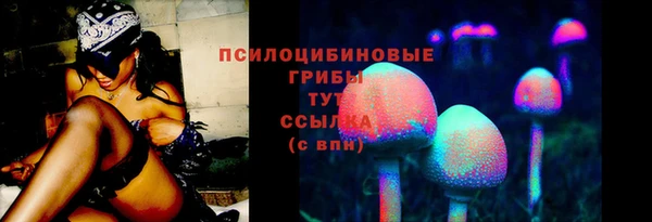 молекула духа Медногорск