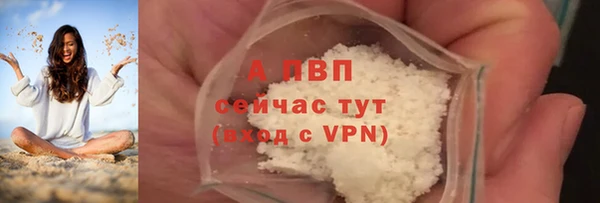 стаф Медвежьегорск