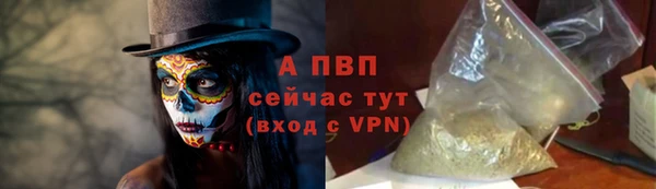 стаф Майский