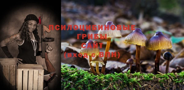 стаф Медвежьегорск