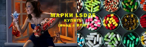 стаф Майский