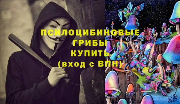 стаф Медвежьегорск