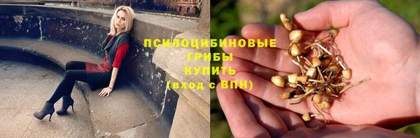 молекула духа Медногорск