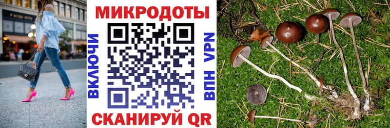 Галлюциногенные грибы Magic Shrooms  Урай 